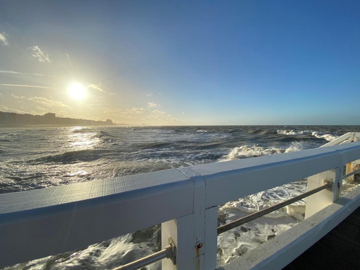 Sunnyside-Of-Thesea - With Open View On Nature, Big Terraces All Around - Very Close To Sea, Beach, Stores, Restaurants & Beach Bars Nieuwpoort Exteriér fotografie